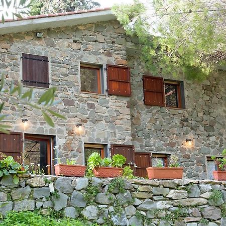 Due Pini Daire Corniglia Dış mekan fotoğraf