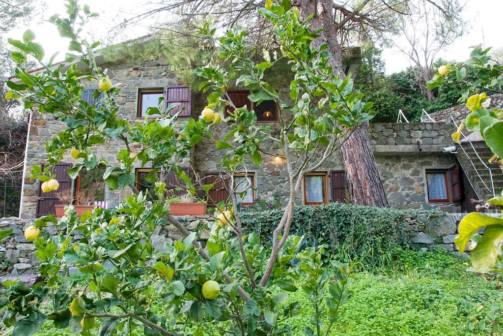 Due Pini Daire Corniglia Dış mekan fotoğraf