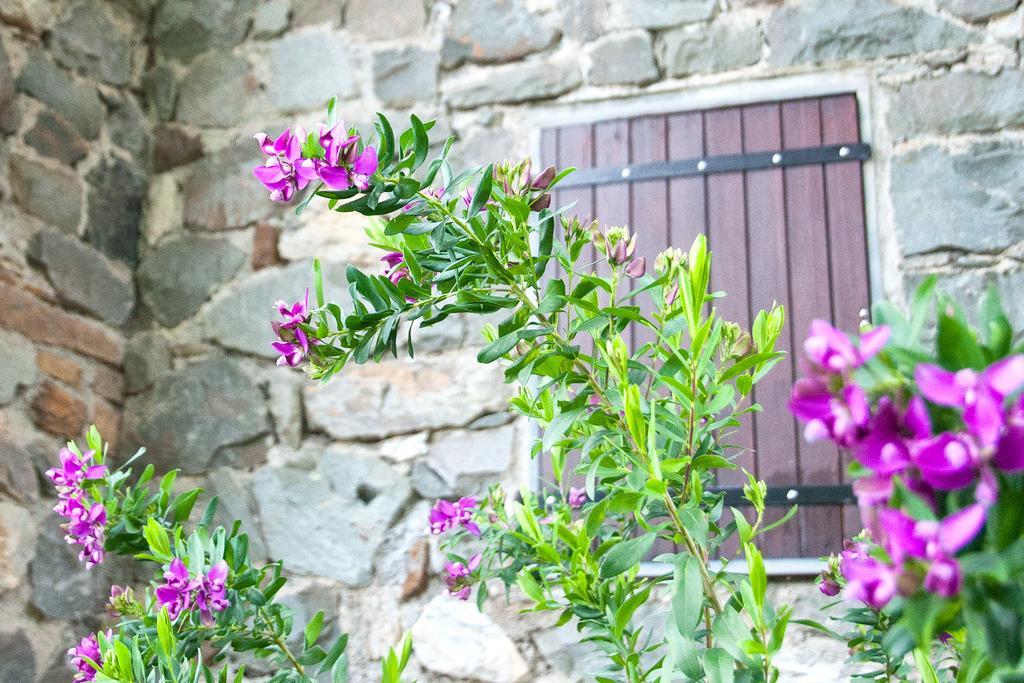 Due Pini Daire Corniglia Dış mekan fotoğraf