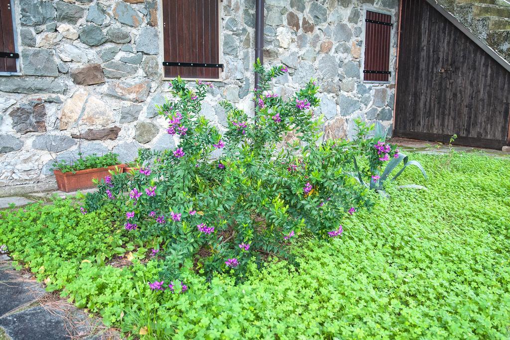 Due Pini Daire Corniglia Dış mekan fotoğraf