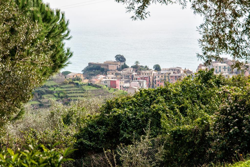Due Pini Daire Corniglia Dış mekan fotoğraf