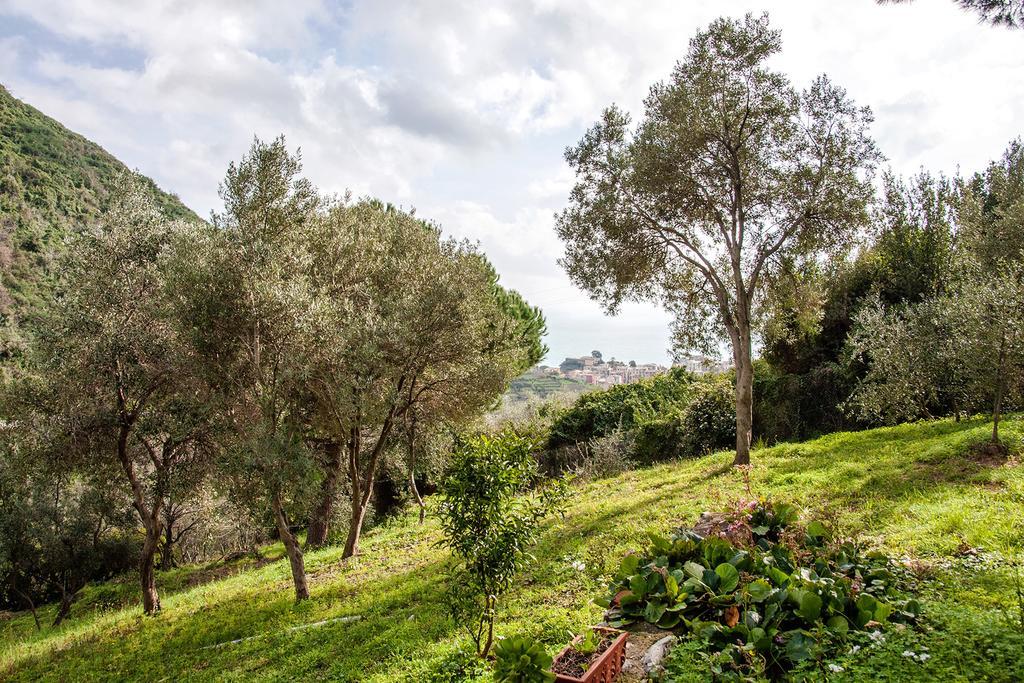 Due Pini Daire Corniglia Dış mekan fotoğraf